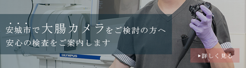 安城市で大腸カメラをご検討の方へ バナー